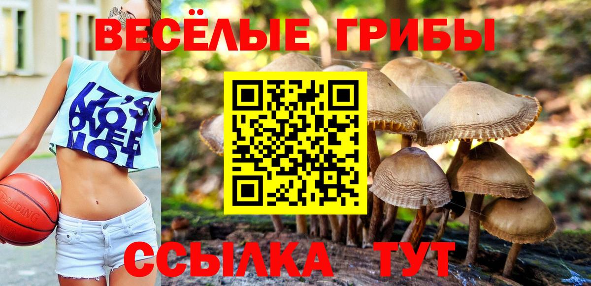 Кольчугино  Галлюциногенные грибы MAGIC MUSHROOMS  Галлюциногенные грибы Cubensis  Вход с VPN 