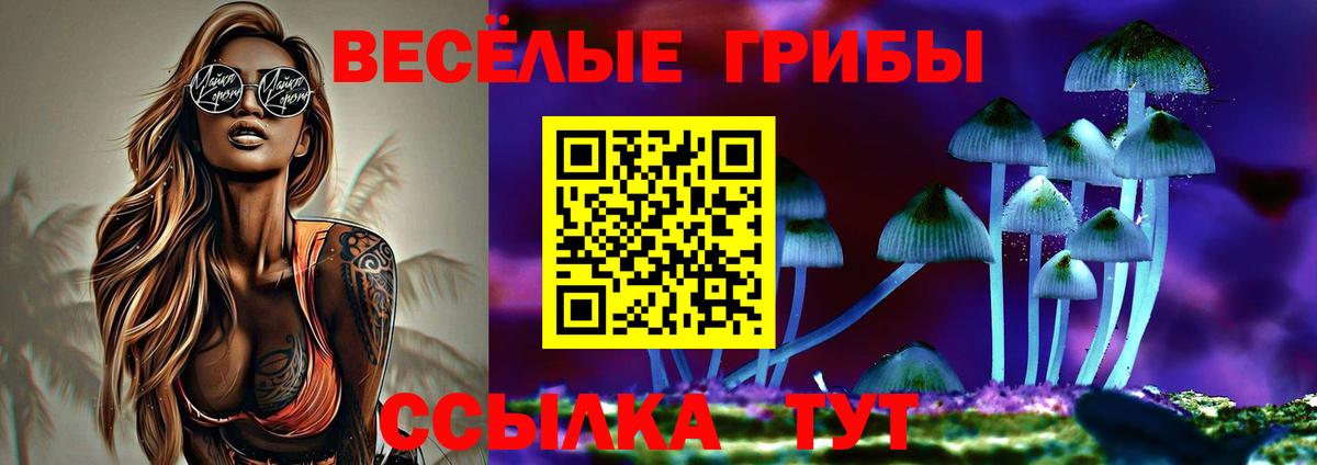 Галлюциногенные грибы GOLDEN TEACHER Кольчугино